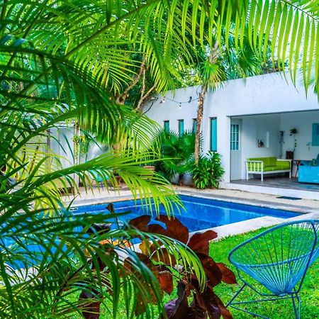 Hotel Casa Borush By Ecoplaneta Cancún Esterno foto